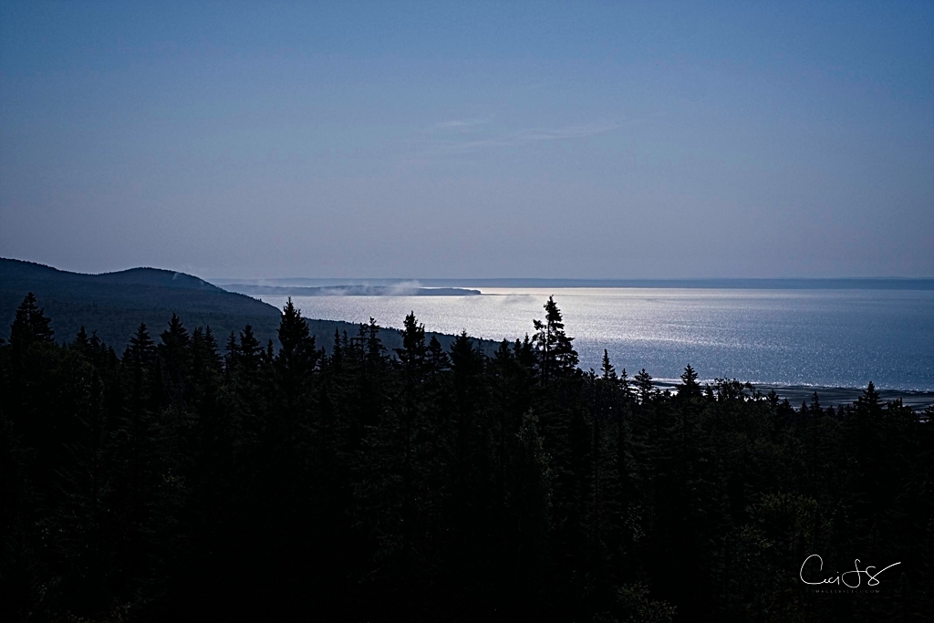 Fog over the Bay of Fundy